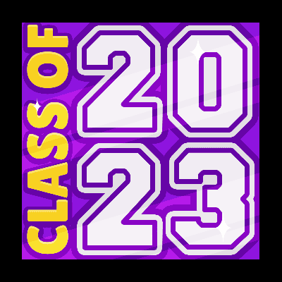 Player Icon